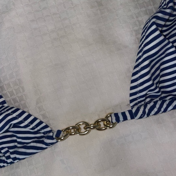 Striped Elizabeth Hurley Bikini - Picture 3 of 6